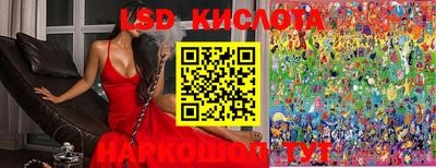 индика Тулун