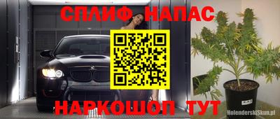 индика Тулун