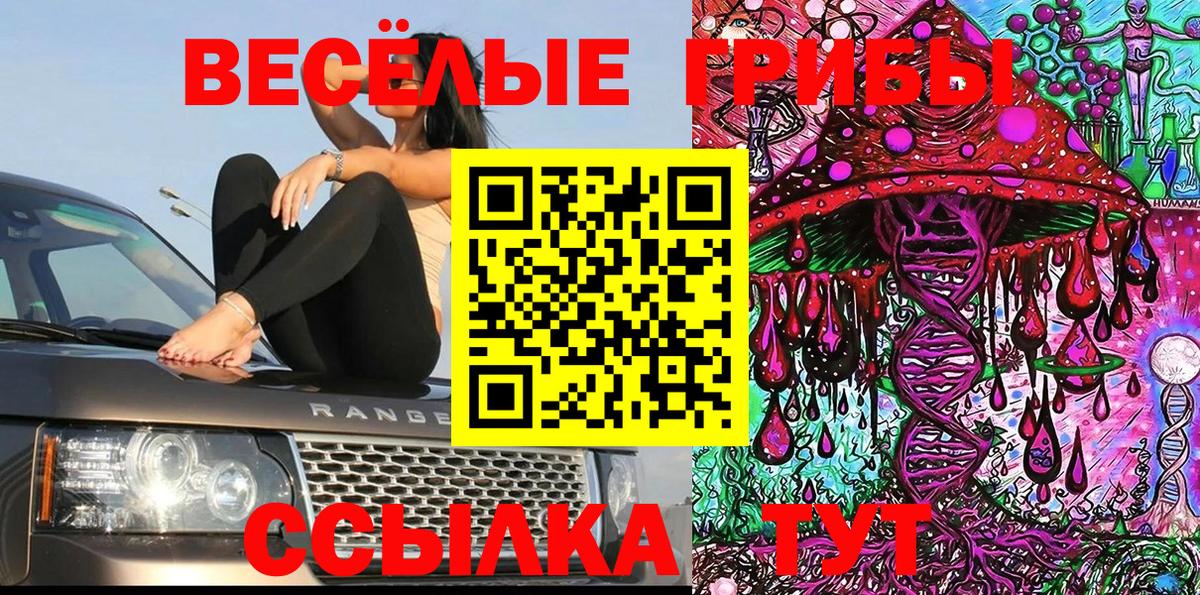 Псилоцибиновые грибы Cubensis  дарнет шоп  Галлюциногенные грибы прущие грибы  Новочеркасск  Вход с VPN 